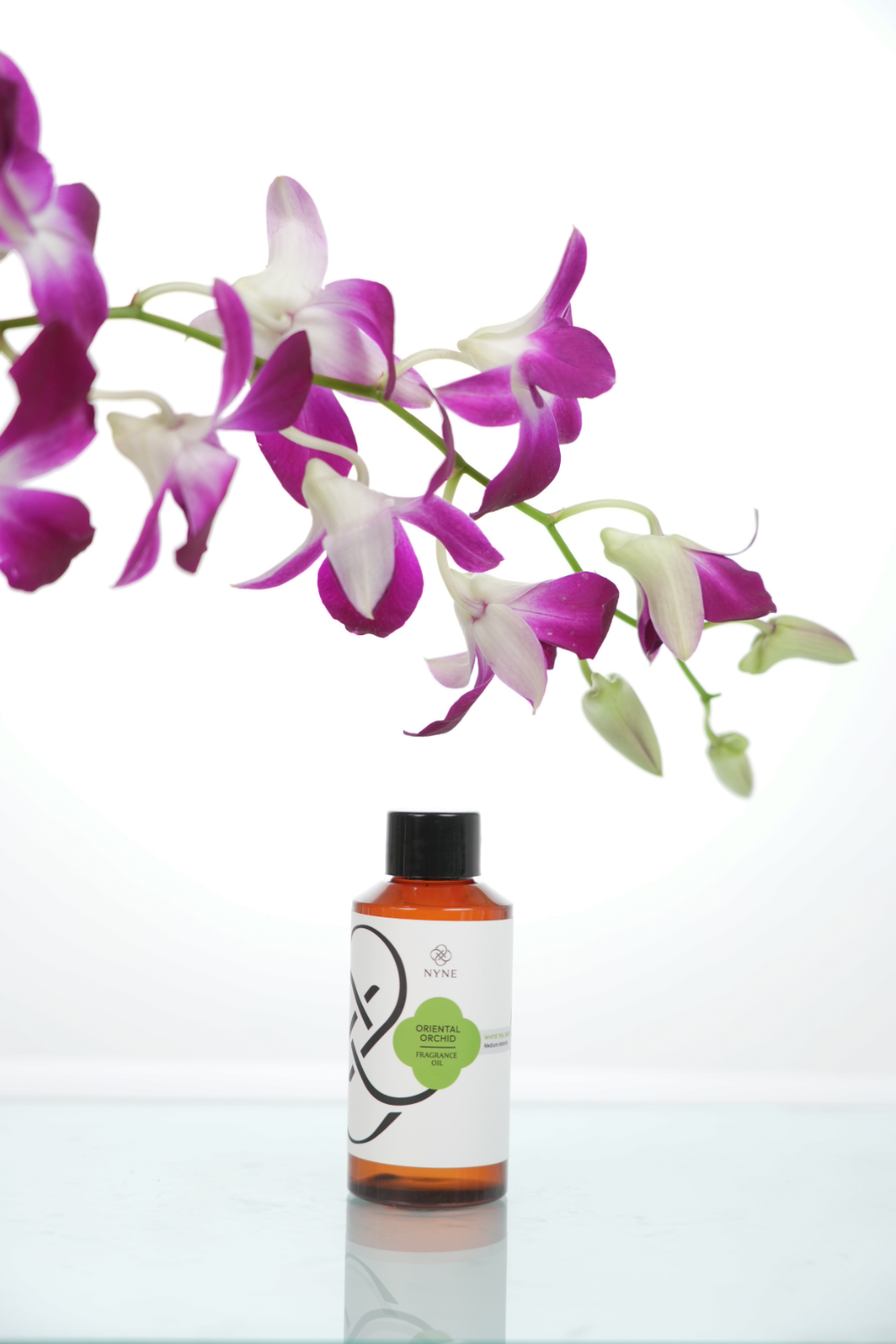 ORIENTAL ORCHID